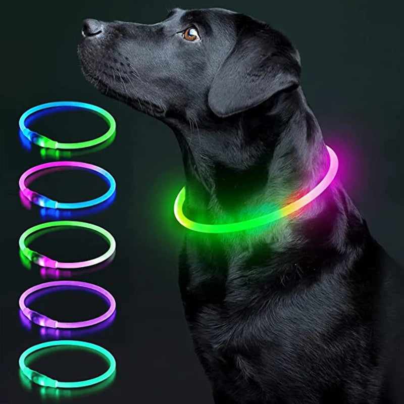 LED Glowing Rechargeable Dog Collar Night Safety