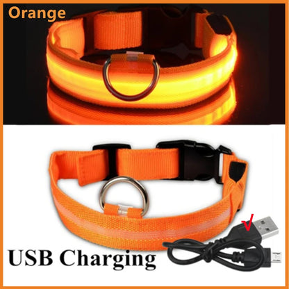 LED Glowing Rechargeable Dog Collar Night Safety