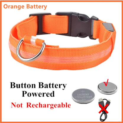 LED Glowing Rechargeable Dog Collar Night Safety