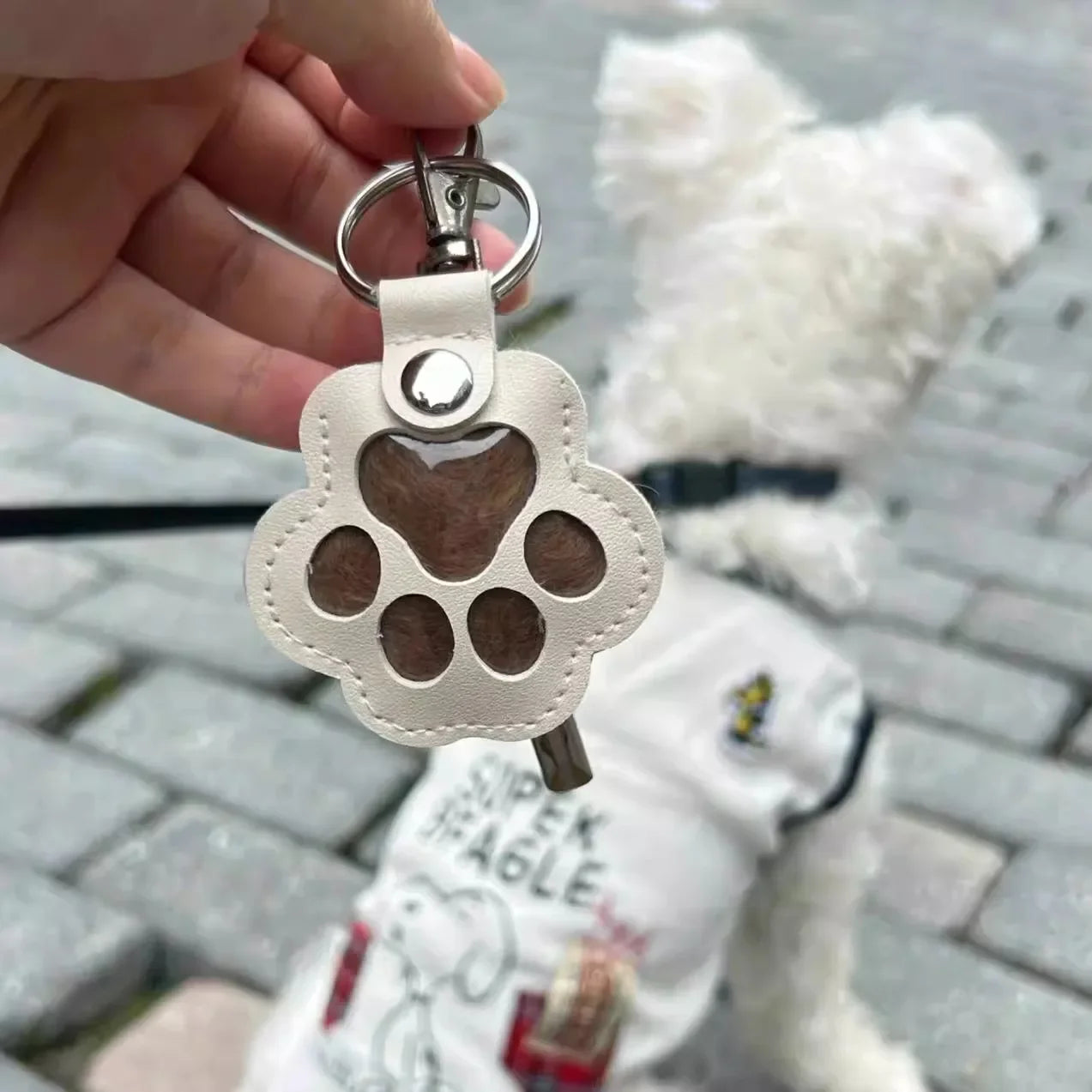 Kawaii Pet Hair Storage Paw Keychain Container