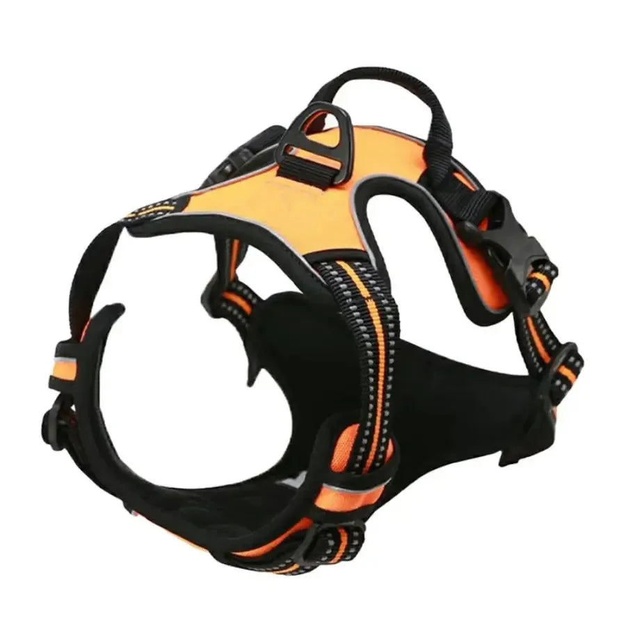 Complete Dog Collar Harness Leash Accessories Set