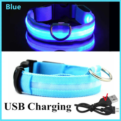 LED Glowing Rechargeable Dog Collar Night Safety