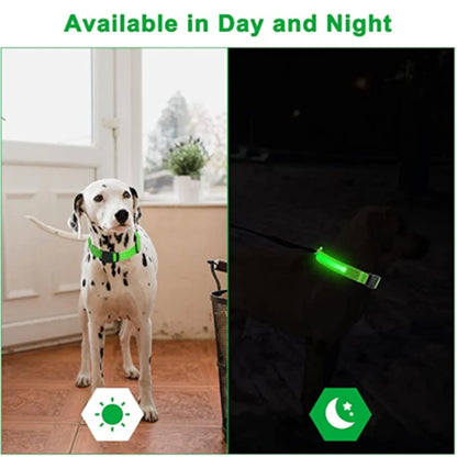 LED Glowing Rechargeable Dog Collar Night Safety