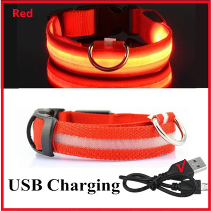 LED Glowing Rechargeable Dog Collar Night Safety