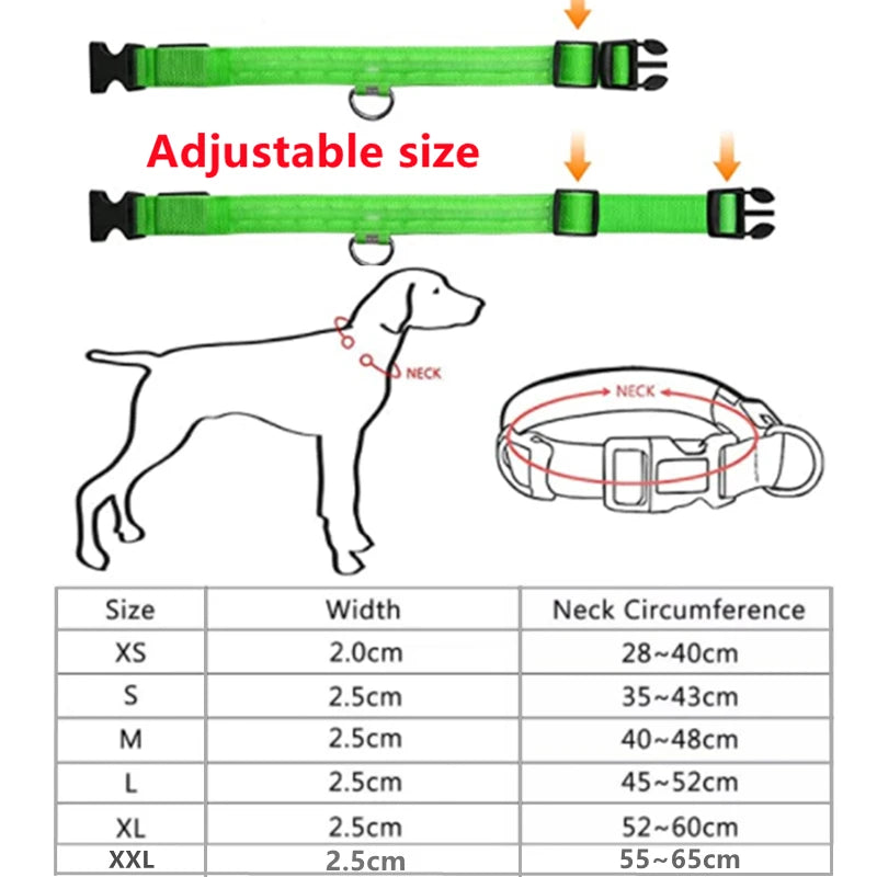 LED Glowing Rechargeable Dog Collar Night Safety