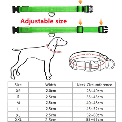 LED Glowing Rechargeable Dog Collar Night Safety