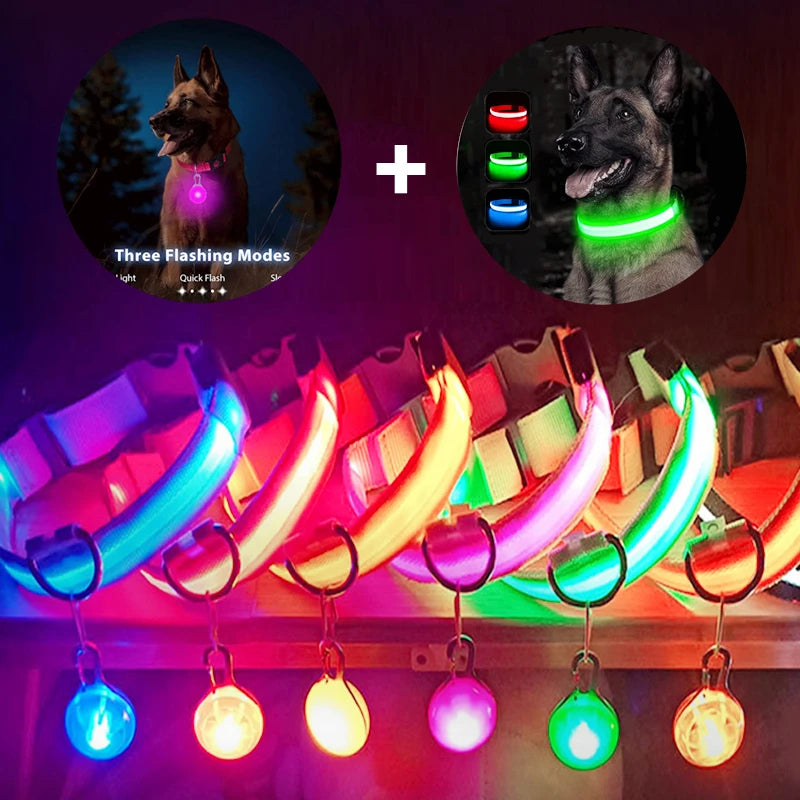 LED Glowing Rechargeable Dog Collar Night Safety