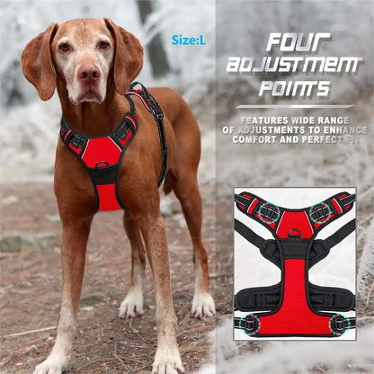 Complete Dog Collar Harness Leash Accessories Set