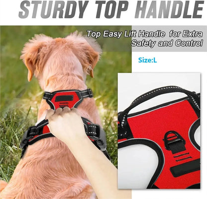 Complete Dog Collar Harness Leash Accessories Set