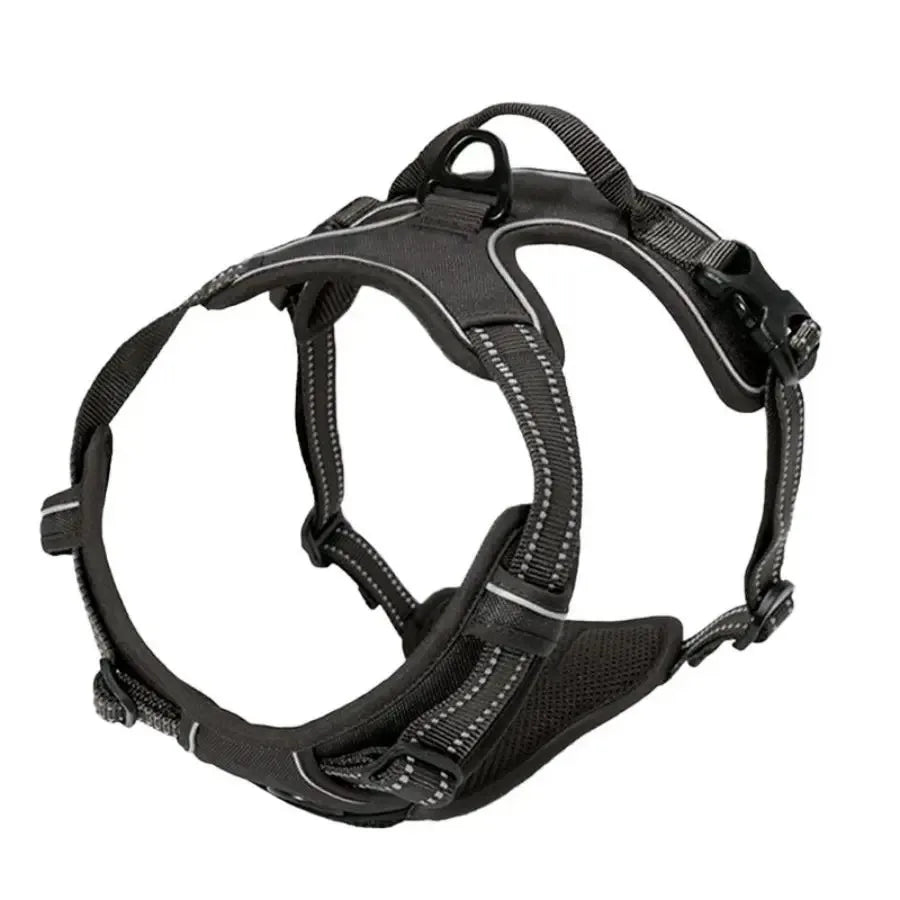 Complete Dog Collar Harness Leash Accessories Set