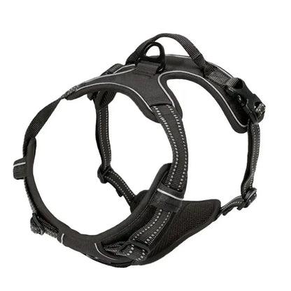 Complete Dog Collar Harness Leash Accessories Set